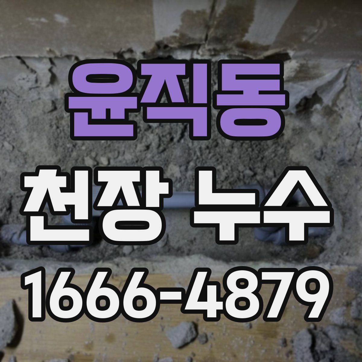 윤직동 천장 누수