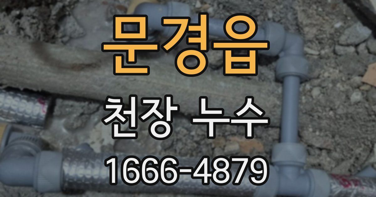 문경읍 천장 누수