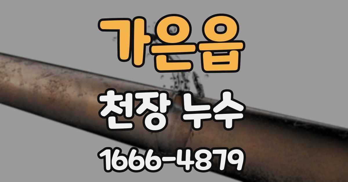 가은읍 천장 누수