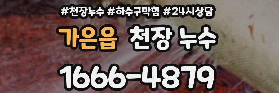 가은읍 천장 누수