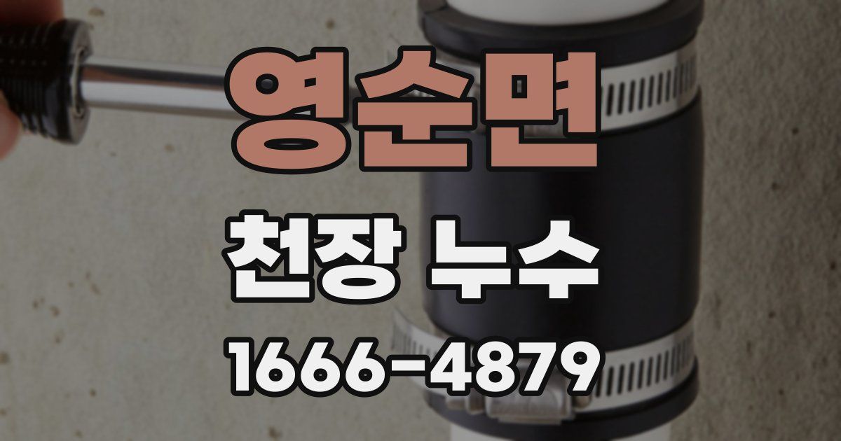 영순면 천장 누수