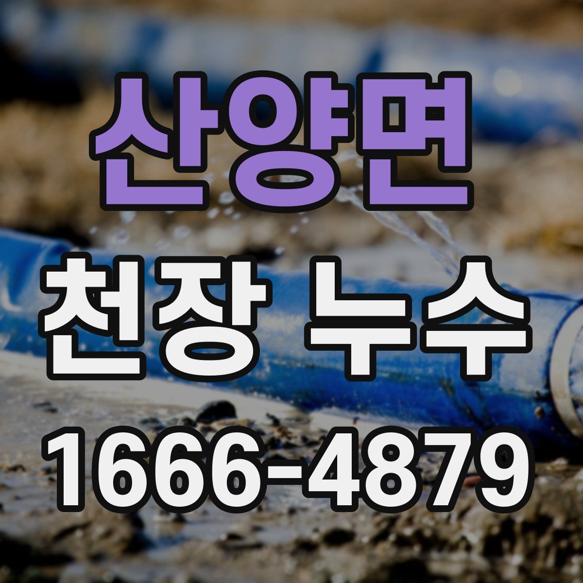 산양면 천장 누수