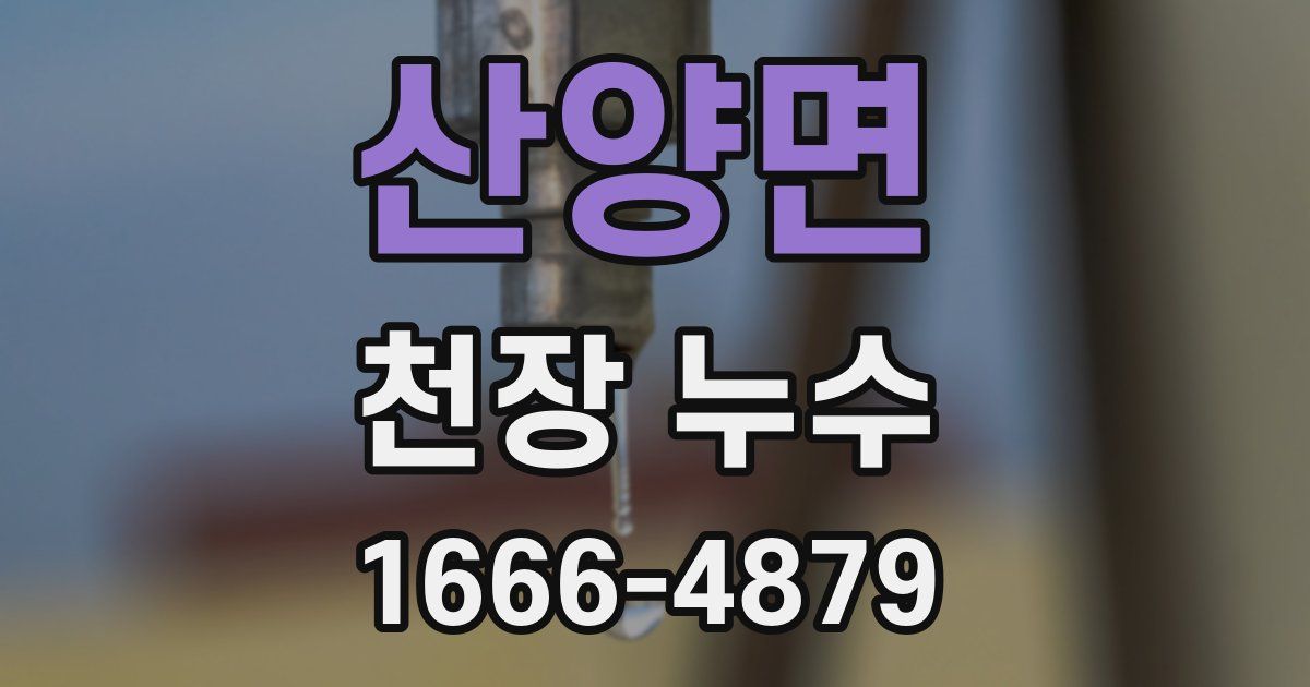 산양면 천장 누수