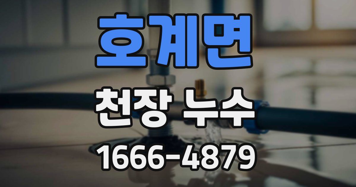 호계면 천장 누수