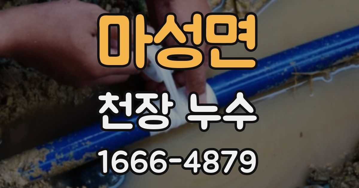 마성면 천장 누수