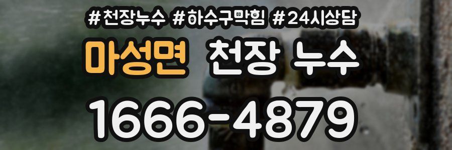 마성면 천장 누수