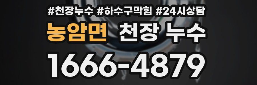 농암면 천장 누수