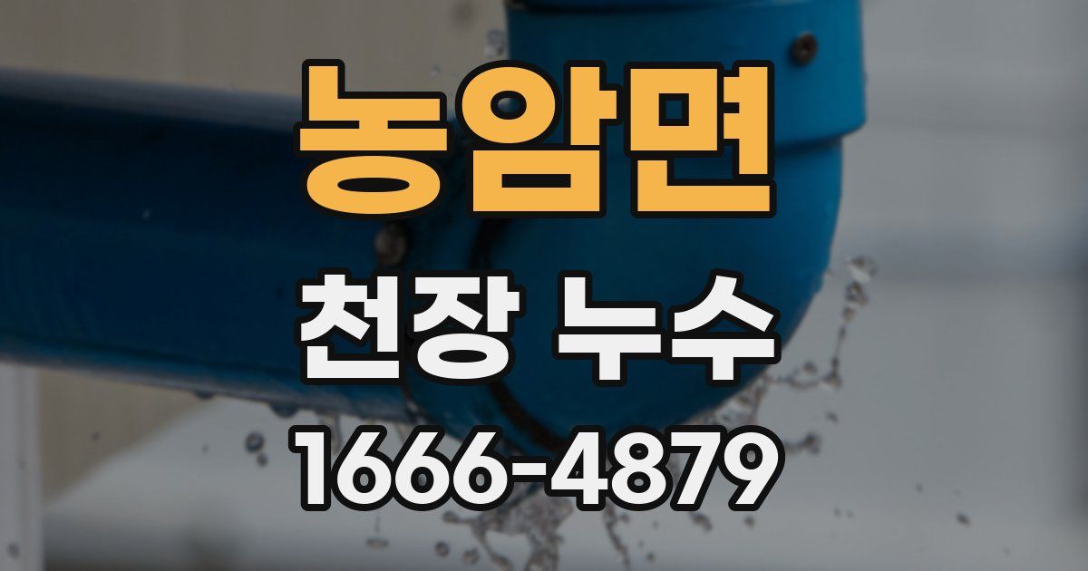 농암면 천장 누수