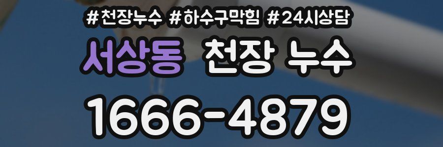 서상동 천장 누수