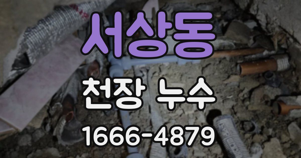 서상동 천장 누수