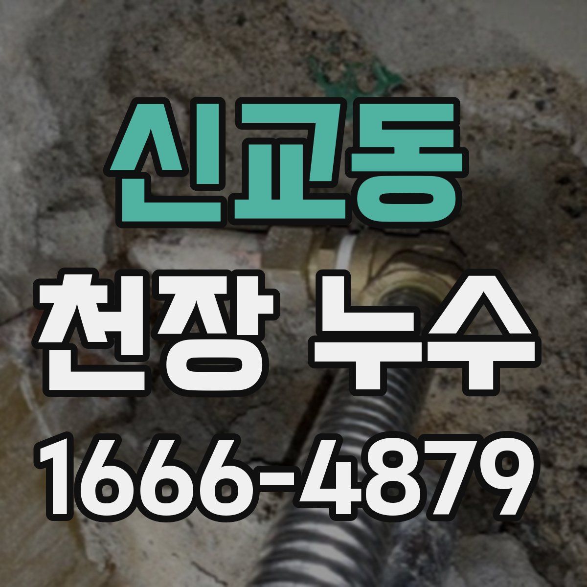 신교동 천장 누수