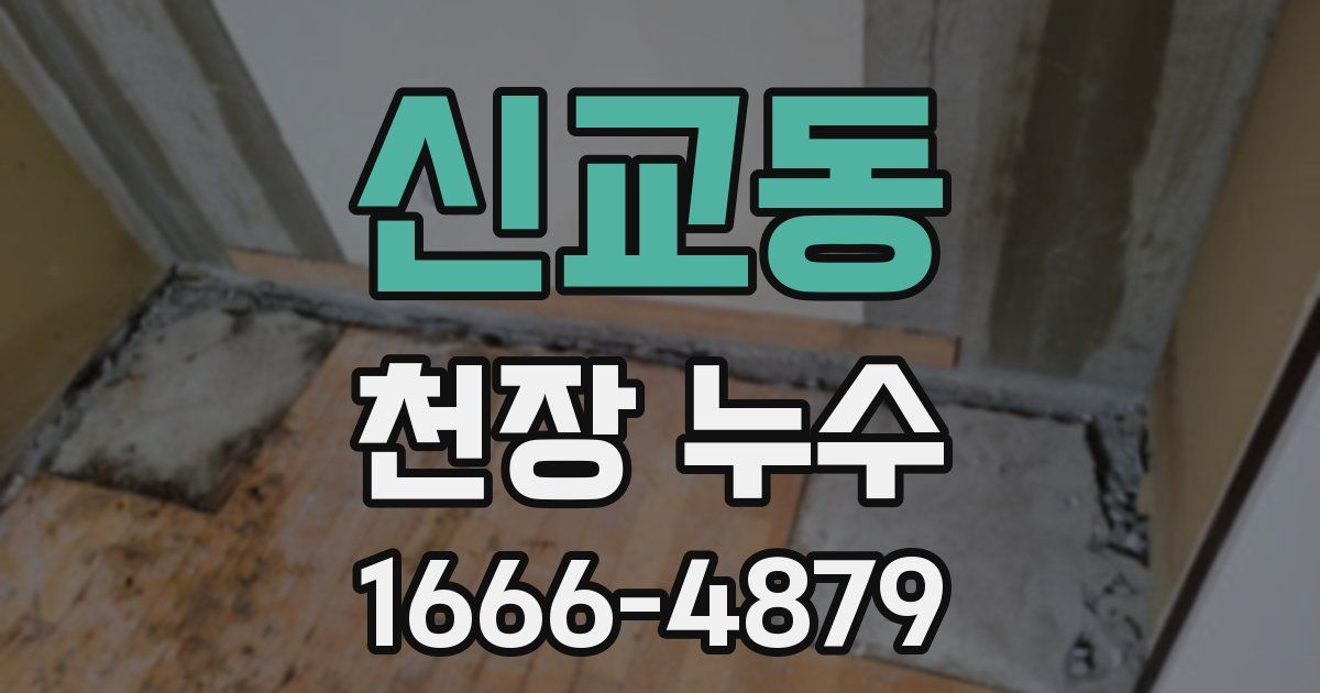 신교동 천장 누수