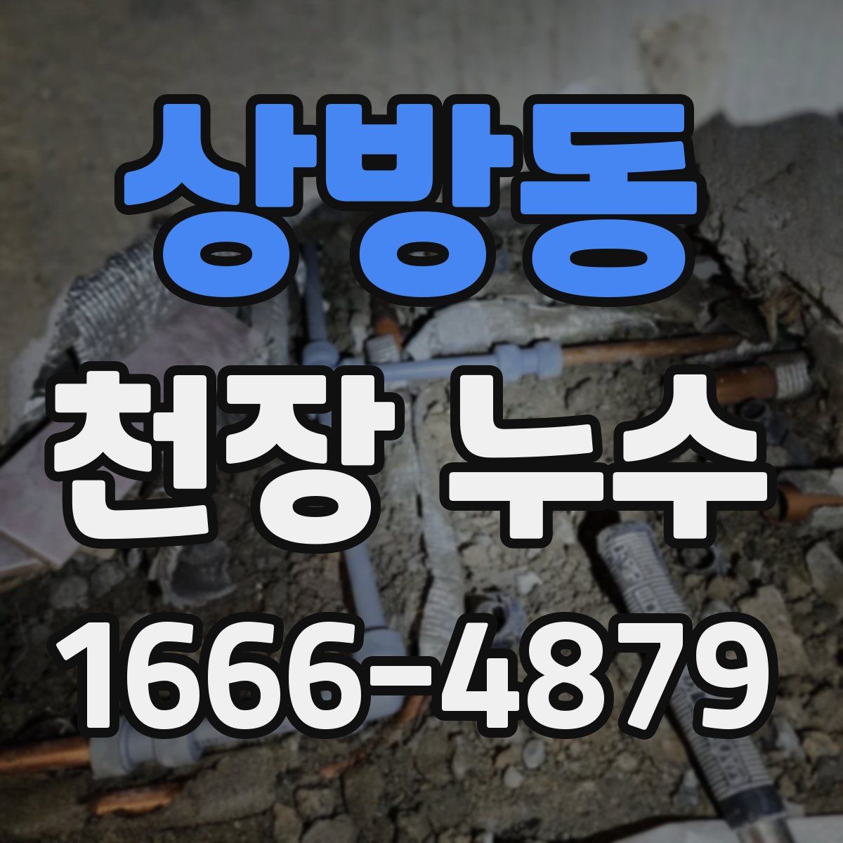 상방동 천장 누수