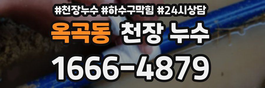 옥곡동 천장 누수