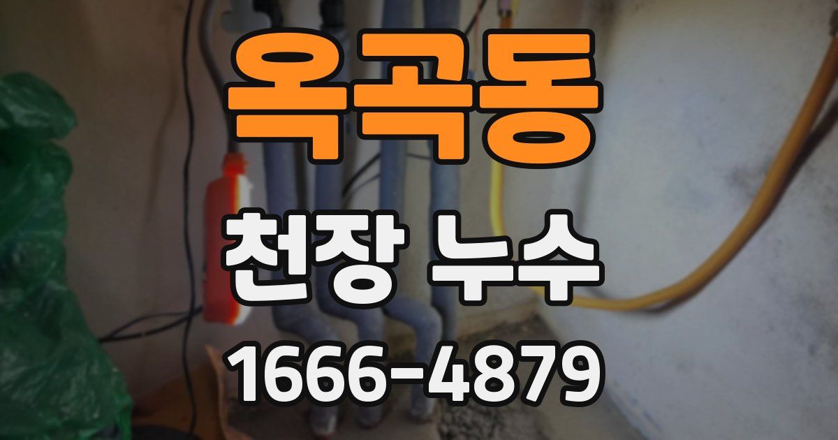 옥곡동 천장 누수