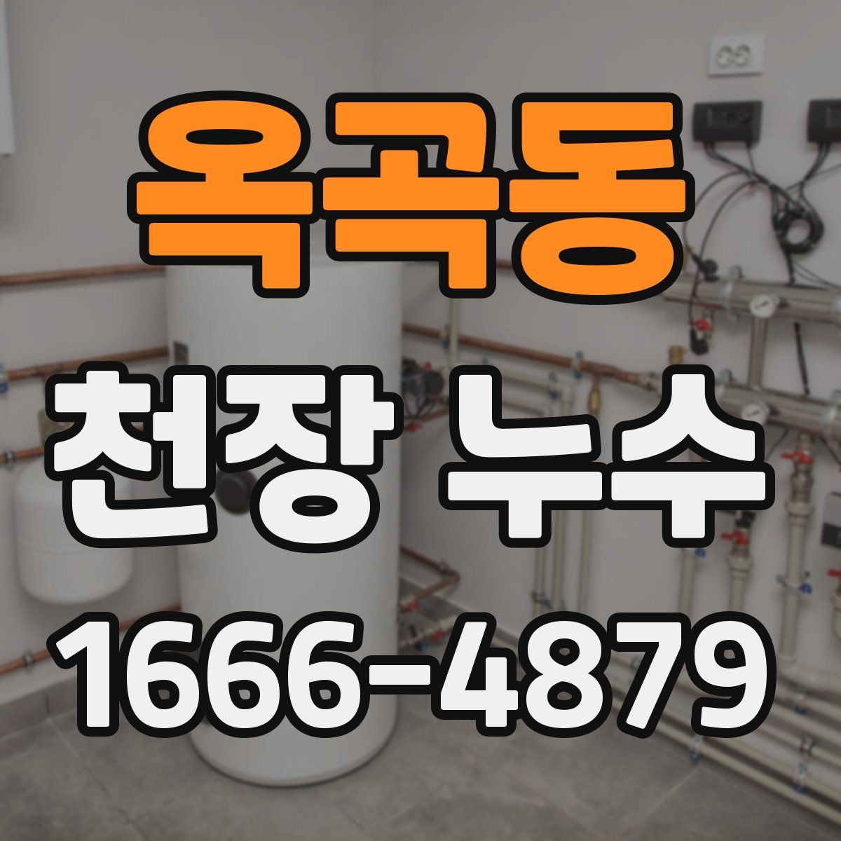 옥곡동 천장 누수