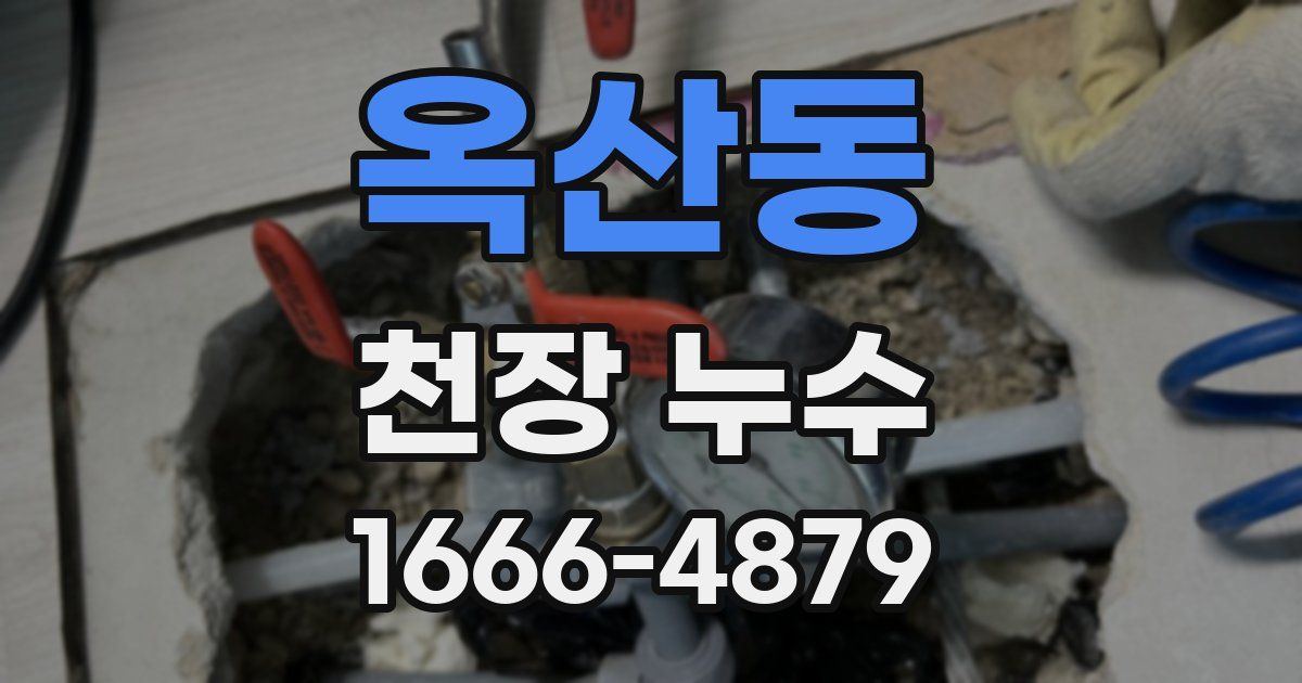 옥산동 천장 누수