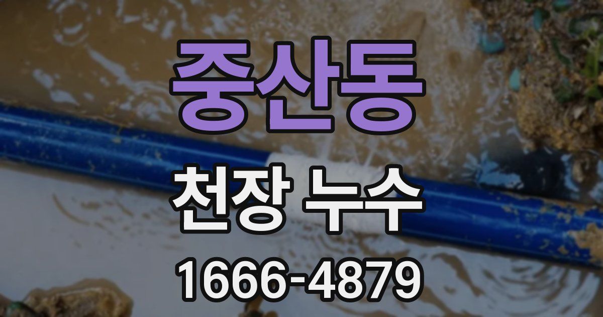 중산동 천장 누수