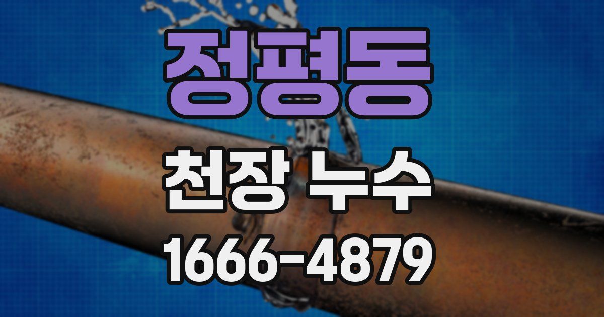 정평동 천장 누수