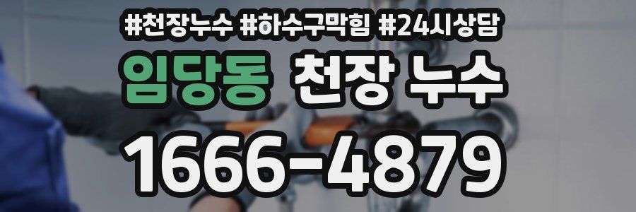 임당동 천장 누수