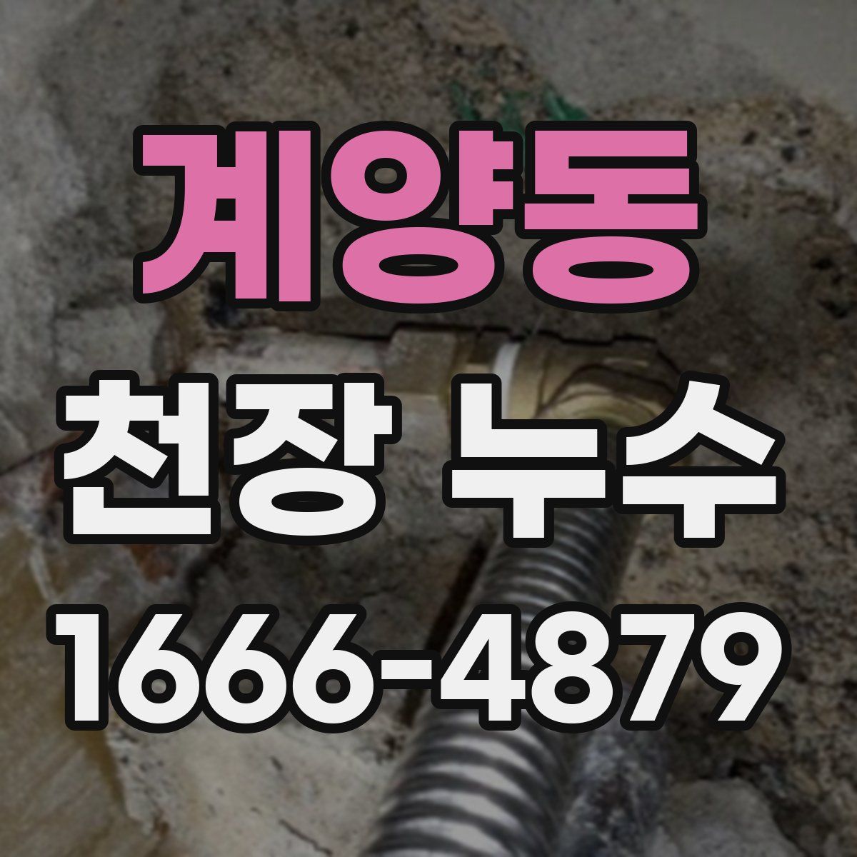 계양동 천장 누수