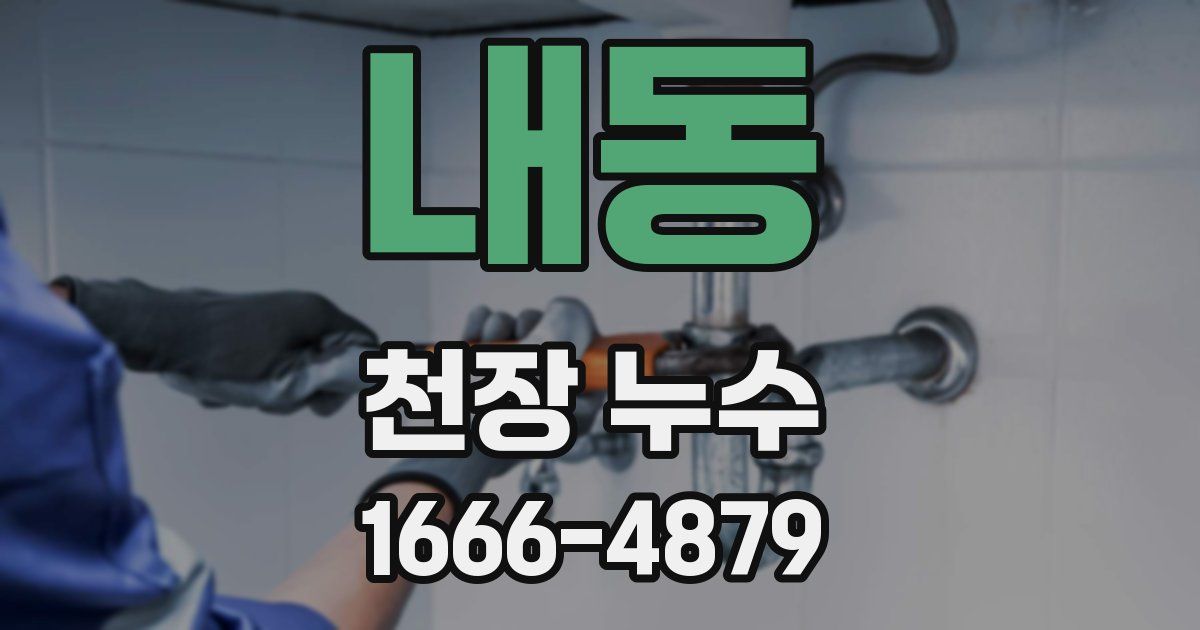 내동 천장 누수