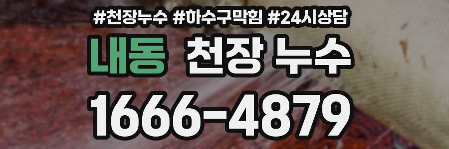 내동 천장 누수