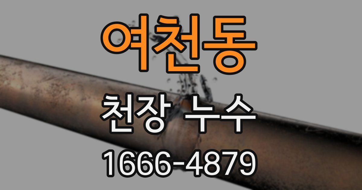 여천동 천장 누수