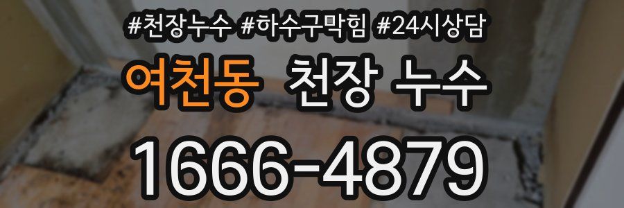 여천동 천장 누수