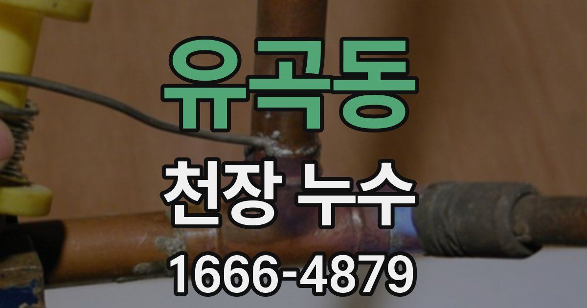 유곡동 천장 누수