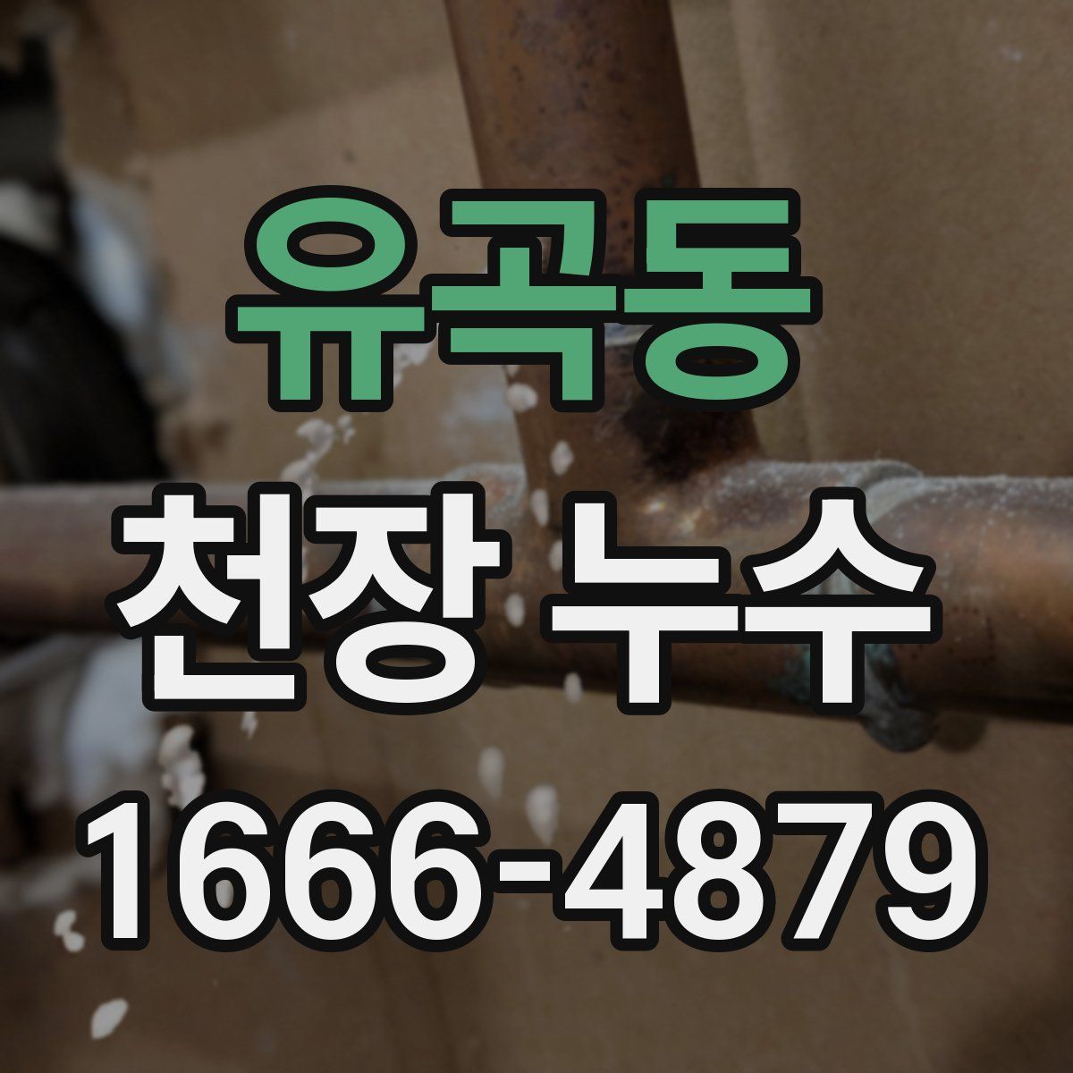 유곡동 천장 누수