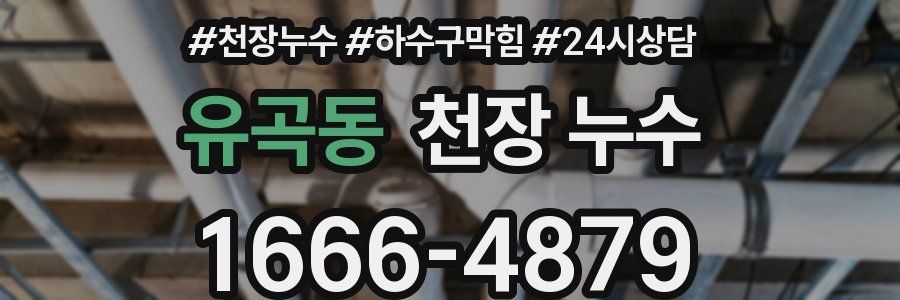 유곡동 천장 누수