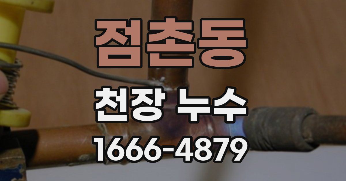 점촌동 천장 누수