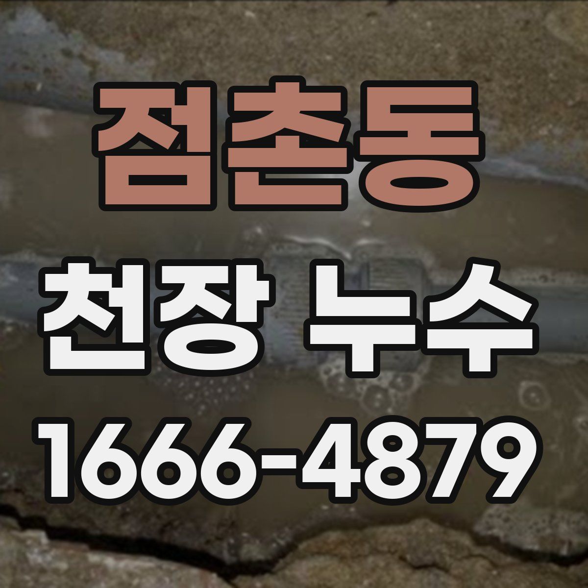 점촌동 천장 누수