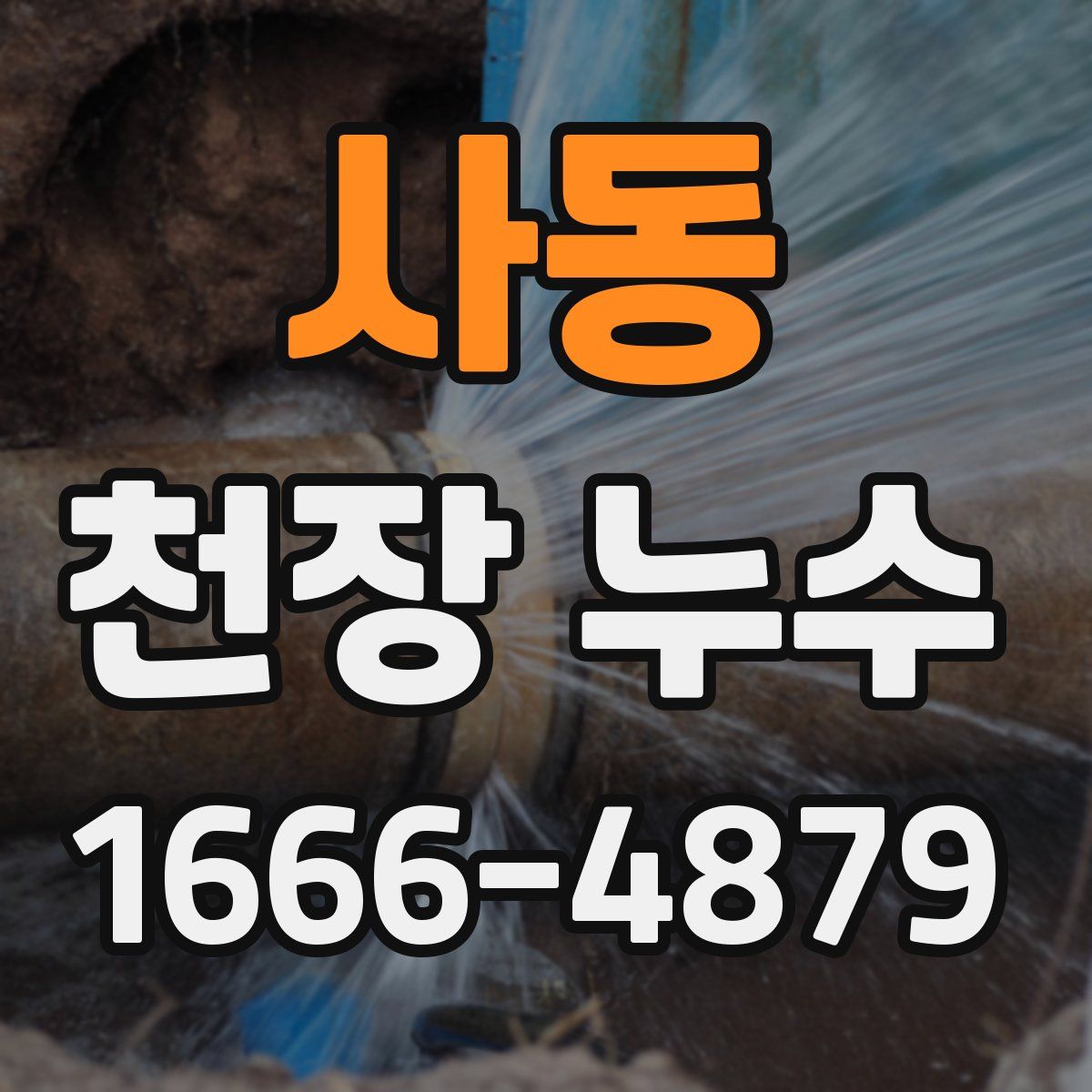 사동 천장 누수