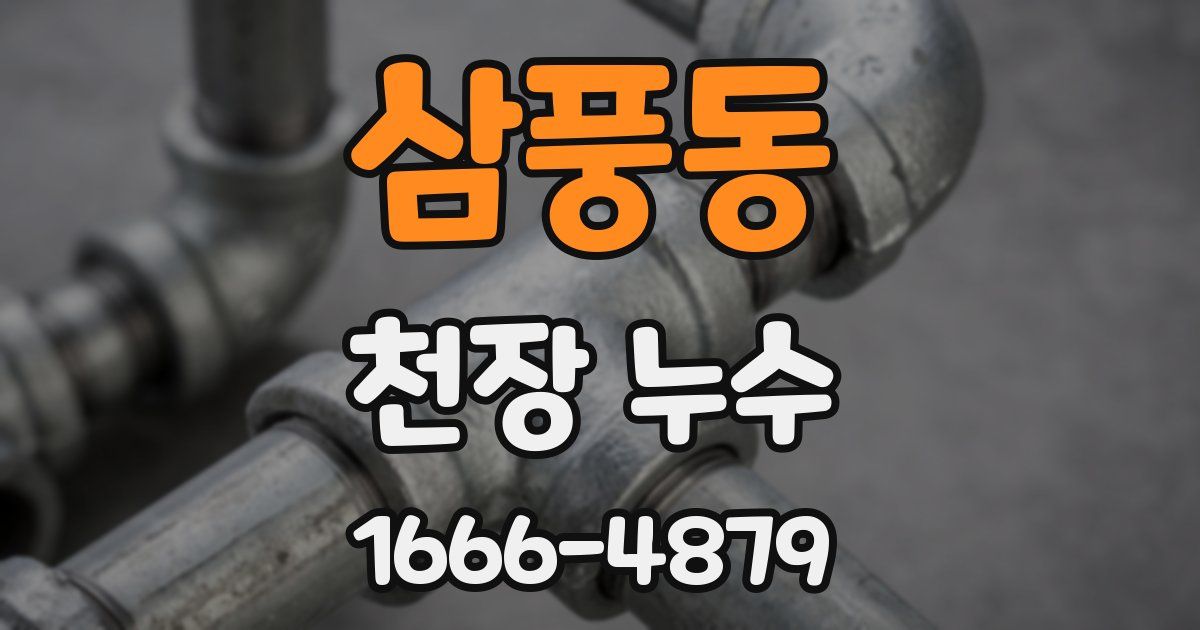 삼풍동 천장 누수