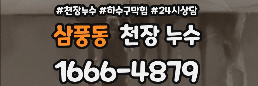 삼풍동 천장 누수