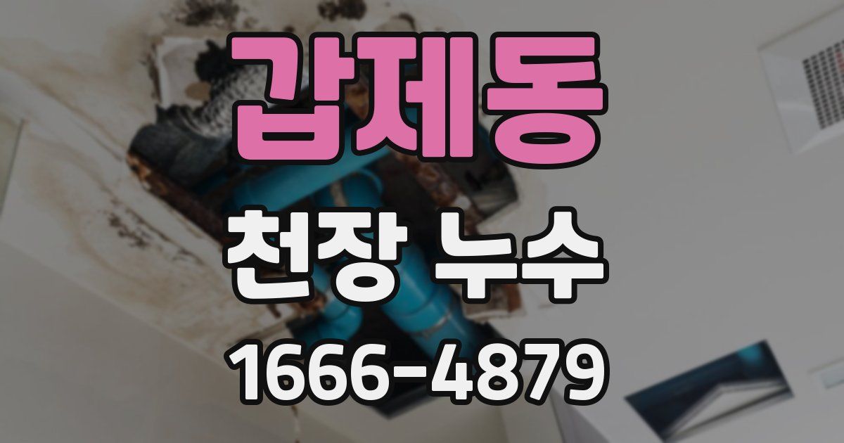 갑제동 천장 누수