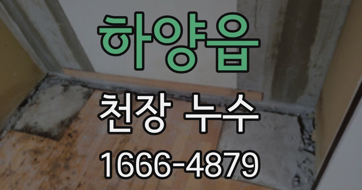 하양읍 천장 누수