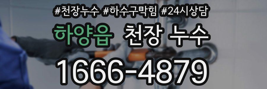 하양읍 천장 누수