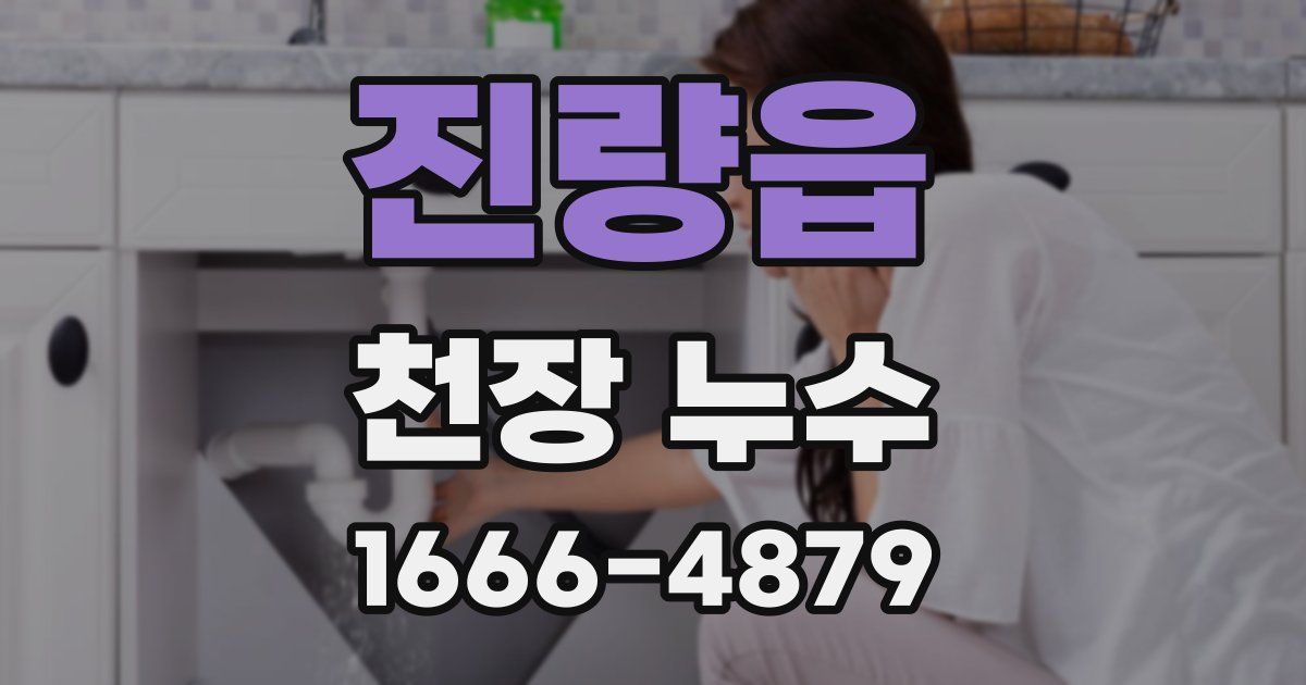 진량읍 천장 누수