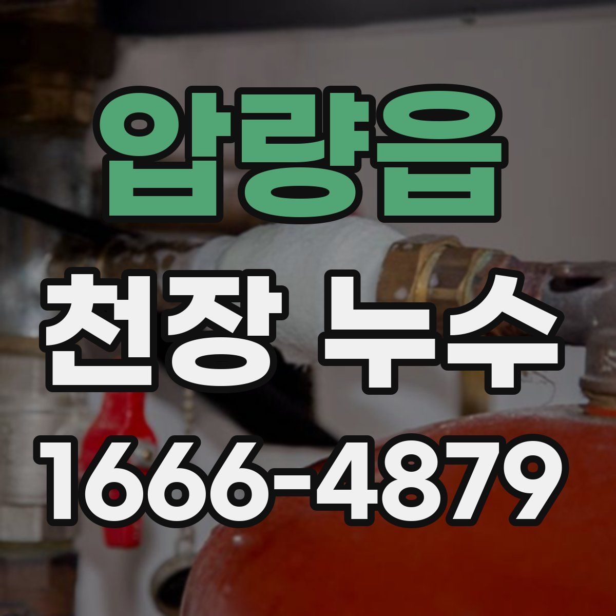 압량읍 천장 누수