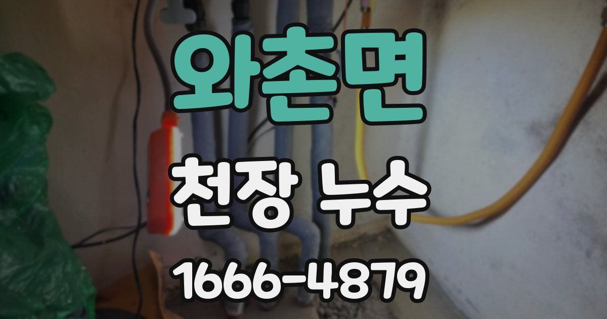 와촌면 천장 누수