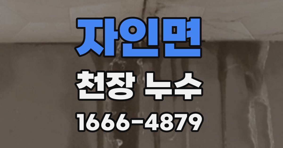 자인면 천장 누수