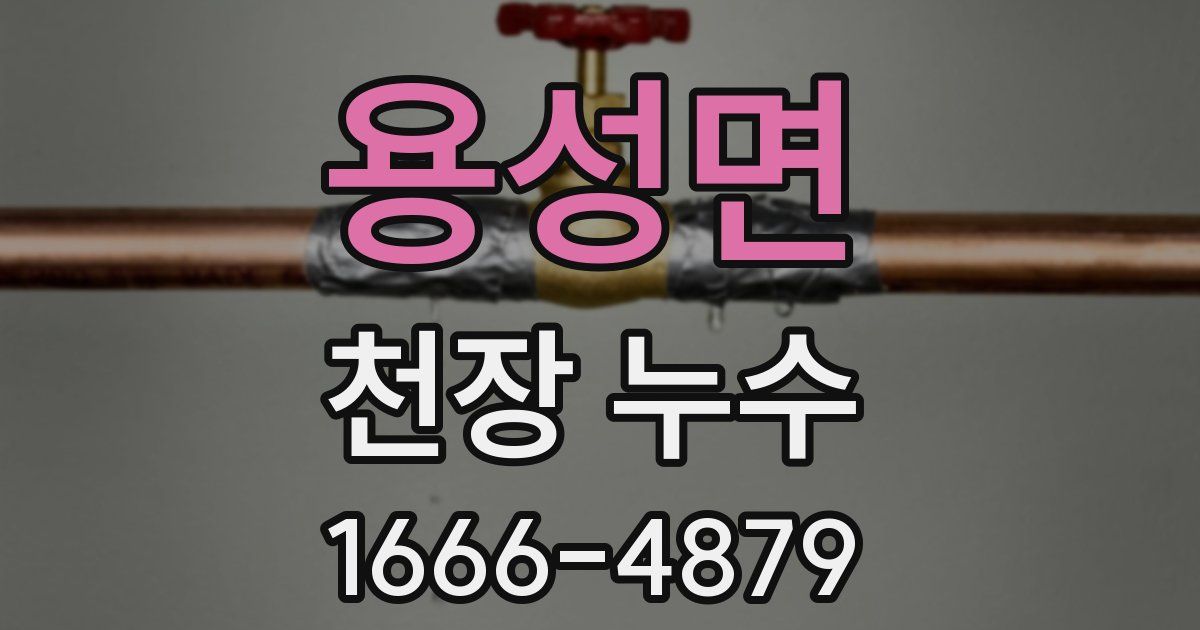 용성면 천장 누수