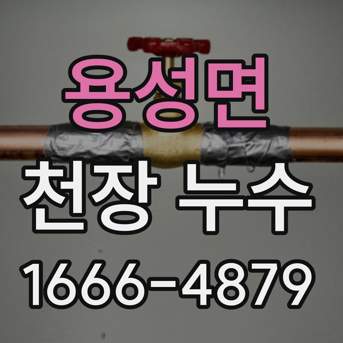 용성면 천장 누수