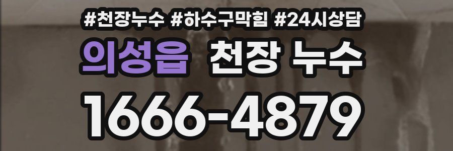 의성읍 천장 누수