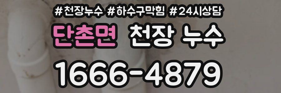 단촌면 천장 누수