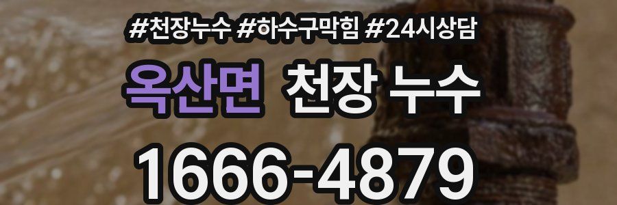 옥산면 천장 누수