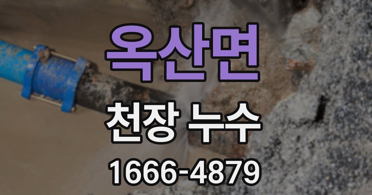 옥산면 천장 누수